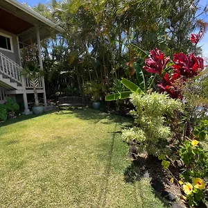  Guest house Private Ohana On The Lush Hamakua Coast With Ac United States
